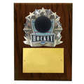 8 X 10 INCH FULL COLOR RAISE MODELED HOCKEY PLAQUE