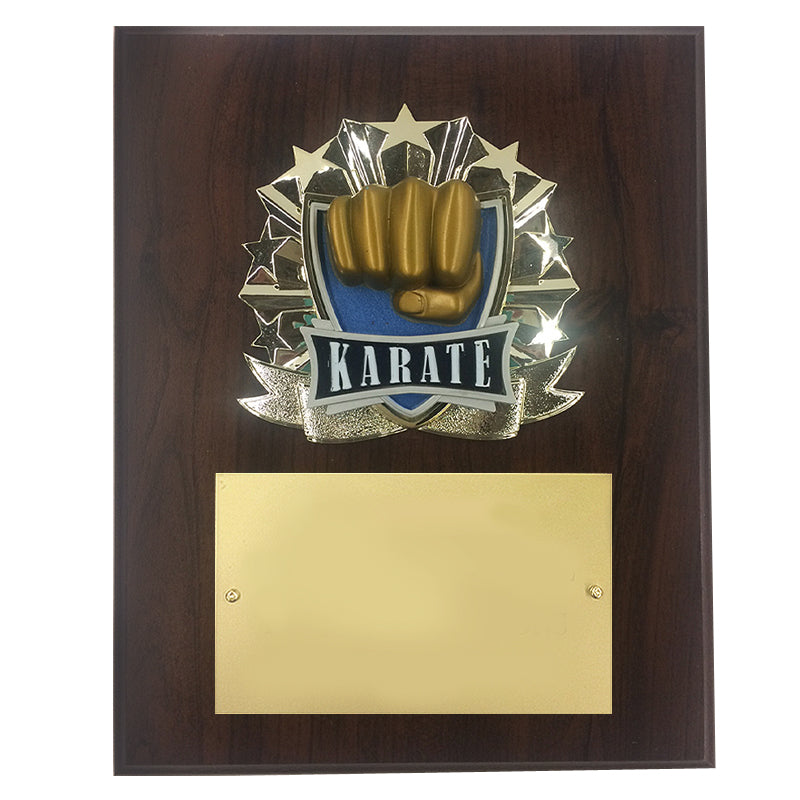 8 X 10 INCH FULL COLOR RAISE MODELED KARATE PLAQUE