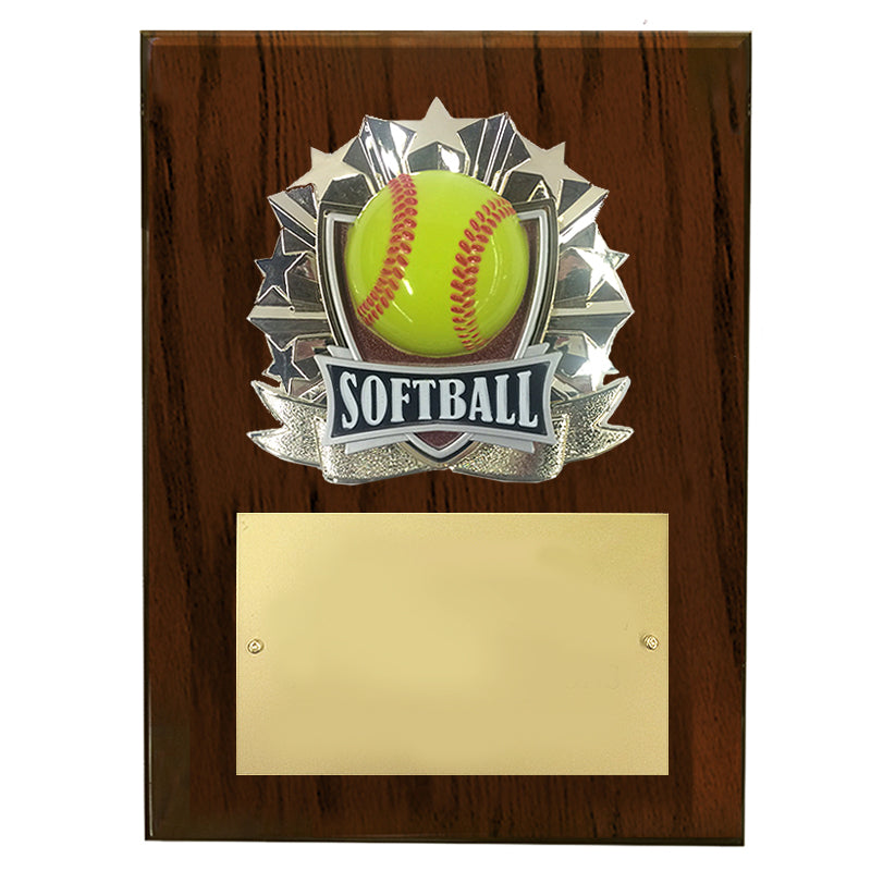 8 X 10 INCH FULL COLOR RAISE MODELED SOFTBALL PLAQUE