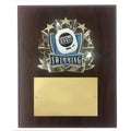 8 X 10 INCH FULL COLOR RAISE MODELED SWIMMING PLAQUE