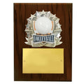8 X 10 INCH FULL COLOR RAISE MODELED VOLLEYBALL PLAQUE