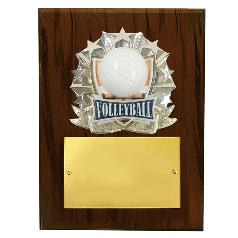 8 X 10 INCH FULL COLOR RAISE MODELED VOLLEYBALL PLAQUE