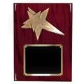 8 X 10 INCH MEDIUM SIZE MODERN STAR PLAQUE