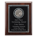 8 X 10 INCH PLAQUE WITH BLACK AND SILVER PLATE TAKES INSERT