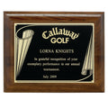 8 X 10 INCH PLAQUE WITH BLACK SCREENED PLATE