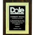 8 X 10 INCH PLAQUE WITH EMBOSSED SCREENED BLACK PLATE