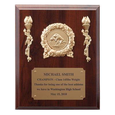 8 X 10 INCH PLAQUE WITH GOLD PLATE TAKES INSERT