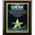 8 X 10 INCH TEAMWORK PHOTO SPORTS PLAQUE WITH LASER ENGRAVED PLATE