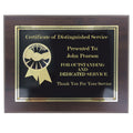8 INCH x 10 INCH SPECIAL THANKS PLAQUE 2 INCH ETCHED BRASS INSERT ON BLACK BRASS SCREEN