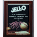 9 X 12 INCH BASEBALL PHOTO SPORTS PLAQUE WITH LASER ENGRAVED PLATE