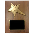 9 X 12 INCH LARGE SIZE MODERN STAR PLAQUE