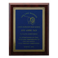 9 X 12 INCH PLAQUE WITH EMBOSSED FRAME AND SCREENED PLATE  -  COLOR OPTIONS