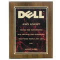 9 X 12 INCH PLAQUE WITH MARBLEIZED SCREENED PLATE - COLOR OPTIONS