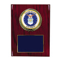 9 X 12 INCH U.S. AIR FORCE PLAQUE WITH 4 INCH EMBOSSED MEDALLION