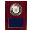 9 X 12 INCH U.S. NAVY PLAQUE WITH 4 INCH EMBOSSED MEDALLION