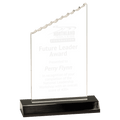 Large Clear Acrylic Iceberg with Black Acrylic Base