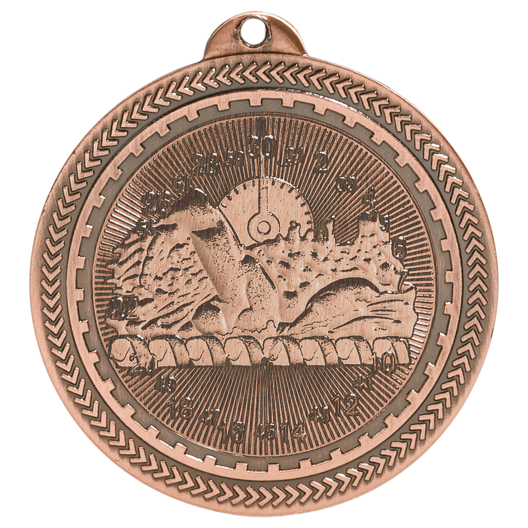 Antique Bronze 2" Swimming Laserable BriteLazer Medal
