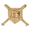 Gold Crossed Bats Metal Chenille Letter Insignia