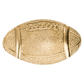 Gold Football Metal Chenille Letter Insignia