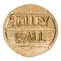 Gold Volleyball Metal Chenille Letter Insignia