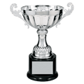 Silver 8 1/2" Completed Metal Cup Trophy on Plastic Base