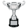 Silver 2 9 3/4" Completed Metal Cup Trophy on Plastic Base