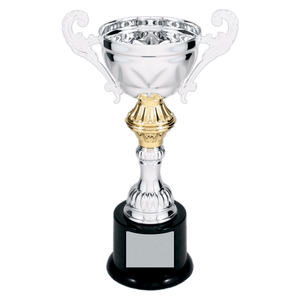 Silver 8 3/4" Completed Metal Cup Trophy on Plastic Base