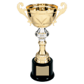 Gold 10" Completed Metal Cup Trophy on Plastic Base