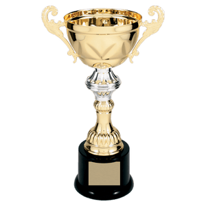 Gold 10" Completed Metal Cup Trophy on Plastic Base
