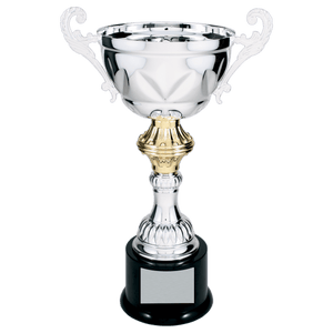 Silver 13" Completed Metal Cup Trophy on Plastic Base