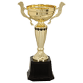 Gold 2 10" Completed Metal Cup Trophy on Plastic Base