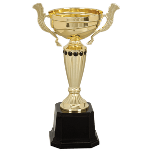 Gold 2 10" Completed Metal Cup Trophy on Plastic Base
