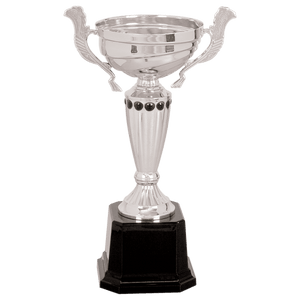Silver 2 10" Completed Metal Cup Trophy on Plastic Base