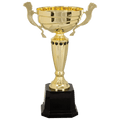 Gold 2 13" Completed Metal Cup Trophy on Plastic Base