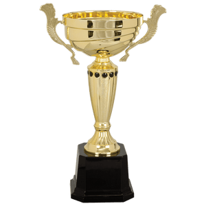 Gold 2 13" Completed Metal Cup Trophy on Plastic Base