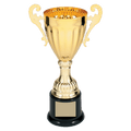 Gold 2 8 3/4" Completed Metal Cup Trophy on Plastic Base