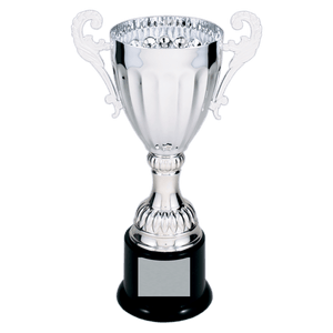 Silver 2 8 3/4" Completed Metal Cup Trophy on Plastic Base