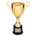 Gold 9 3/4" Completed Metal Cup Trophy on Plastic Base