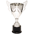 Silver 2 12" Completed Metal Cup Trophy on Plastic Base