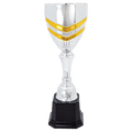 13 13 1/4" Completed Metal Cup Trophy on Plastic Base