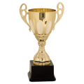 Gold 11" Completed Metal Cup Trophy on Plastic Base