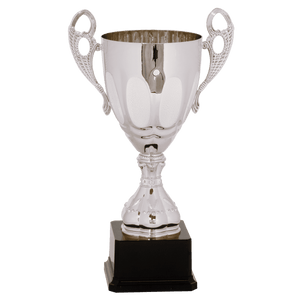 Silver 3 13" Completed Metal Cup Trophy on Plastic Base
