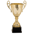 Gold 15 3/4" Completed Metal Cup Trophy on Plastic Base