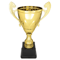 Gold 11" Completed Metal Cup on Plastic Base