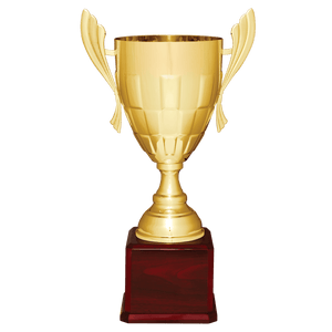 Gold Completed Metal Cup Trophy on Rosewood Royal 22" Piano Finish Base