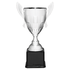 Silver Completed Metal Cup Trophy on Black Royal 22" Piano Finish Base