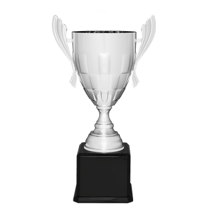 Silver Completed Metal Cup Trophy on Black Royal 24 3/4" Piano Finish Base