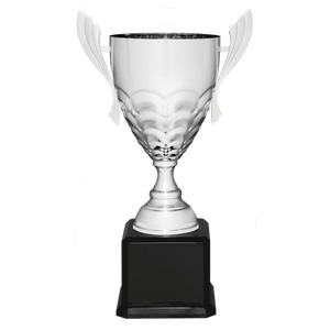 Silver Completed Metal Cup Trophy on Black Royal 21" Piano Finish Base
