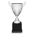 Silver Completed Metal Cup Trophy on Black Royal 23 1/2" Piano Finish Base