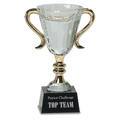 7 1/4" Crystal Cup with Gold Handles and Stem